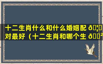 十二生肖什么和什么婚姻配 🦅 对最好（十二生肖和哪个生 🌲 肖最般配）